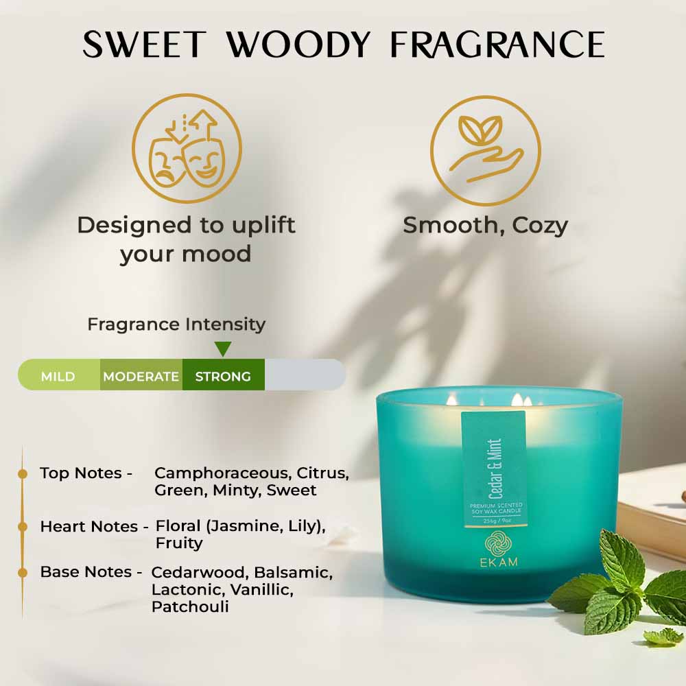 Cedar & Mint 3 Wick Scented Candle - Image 6
