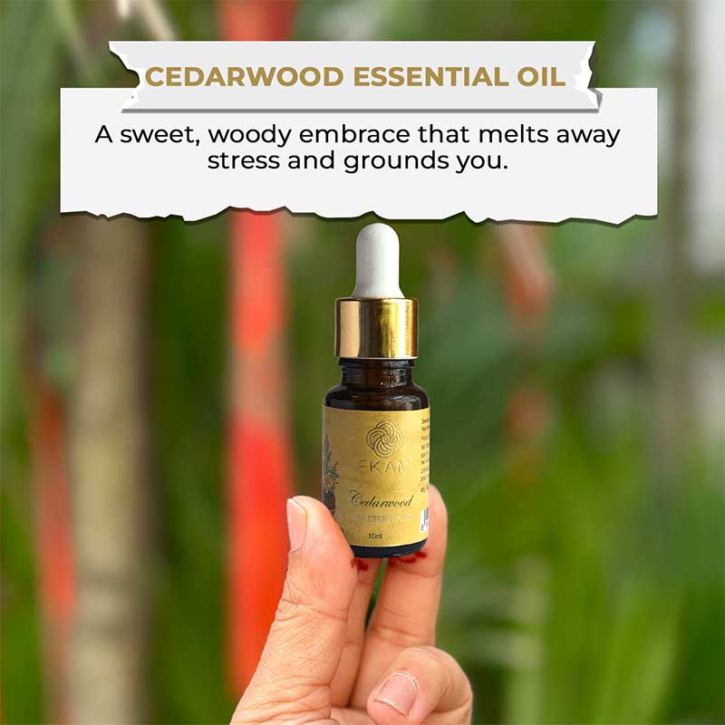 Cedarwood Essential Oil, 10 ml - Image 3