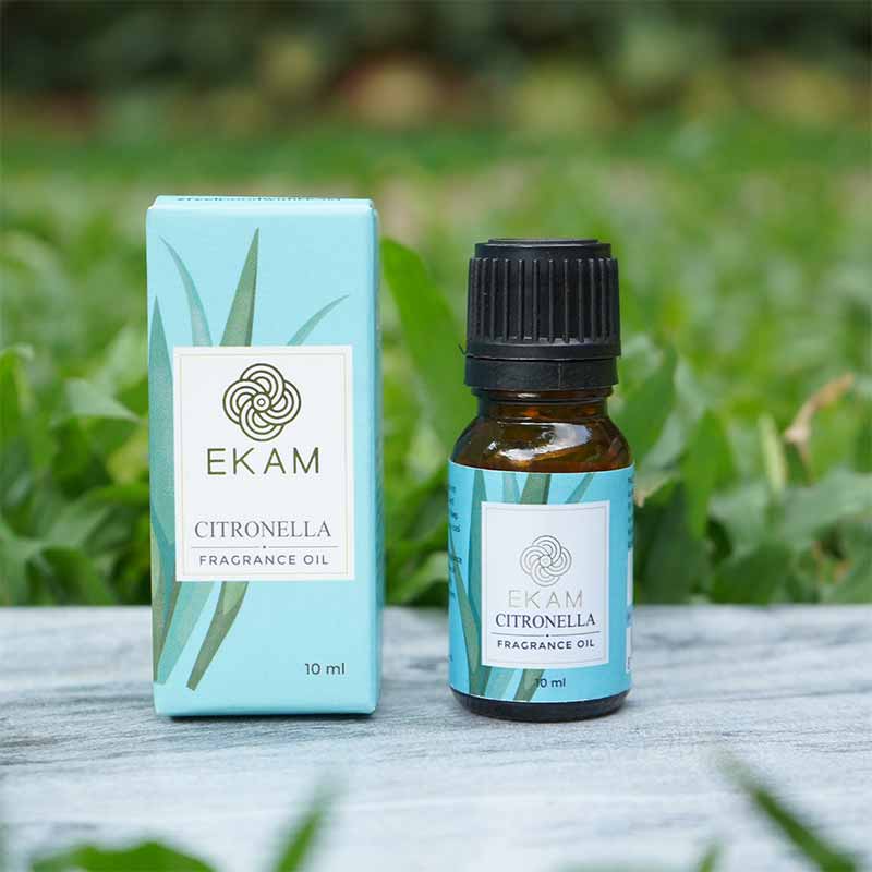 Citronella Fragrance Oil, 10 ml - Image 3