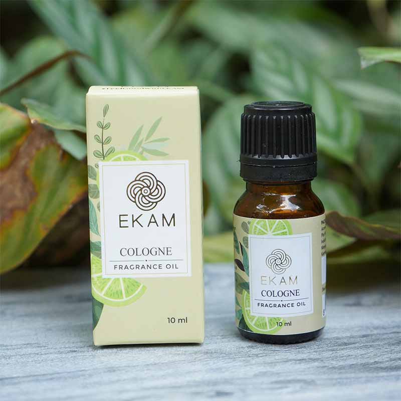 Cologne Fragrance Oil, 10 ml - Image 3