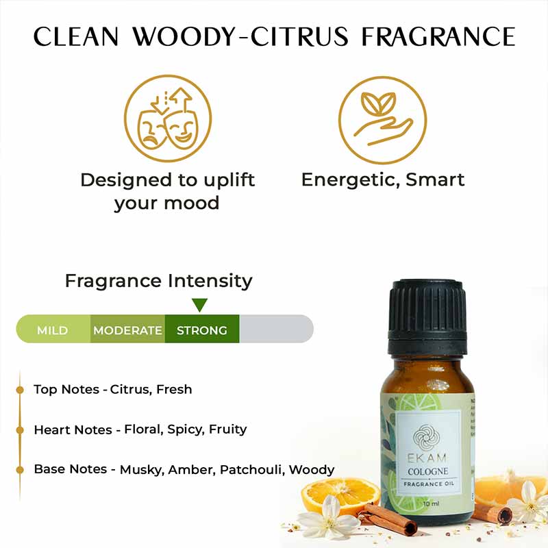 Cologne Fragrance Oil, 10 ml - Image 4