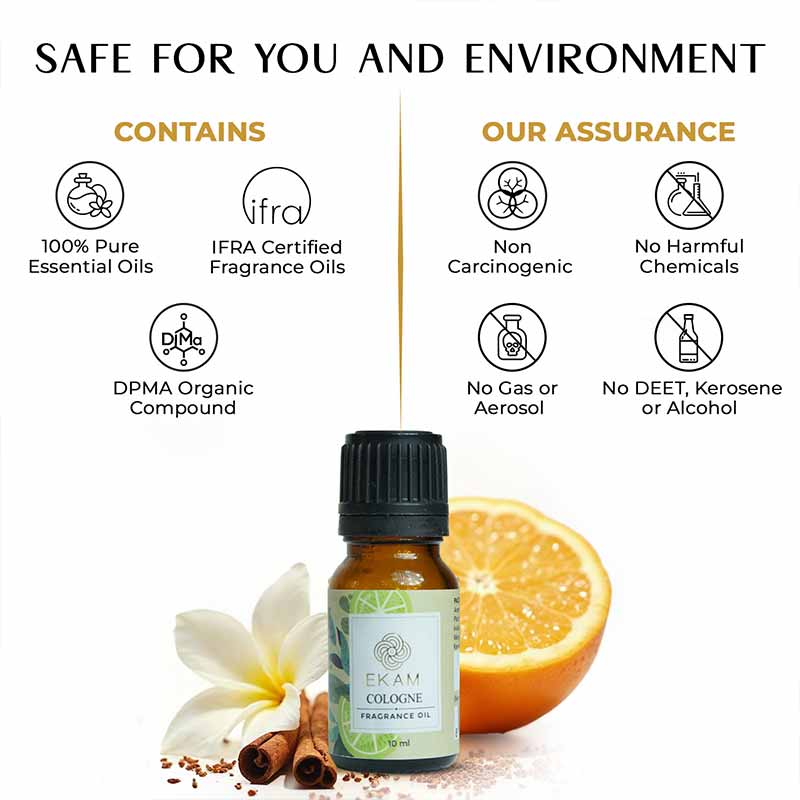 Cologne Fragrance Oil, 10 ml - Image 6