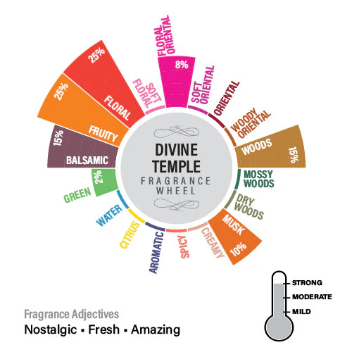 Divine Temple Fragrance Oil, 100ml - Image 7