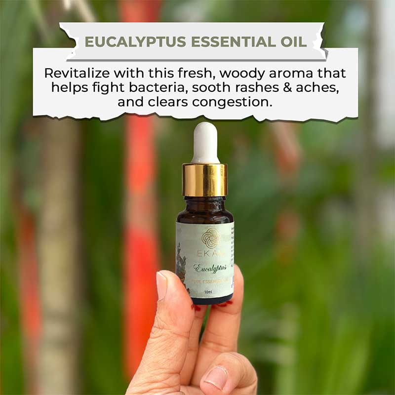 Eucalyptus Essential Oil, 10 ml - Image 3