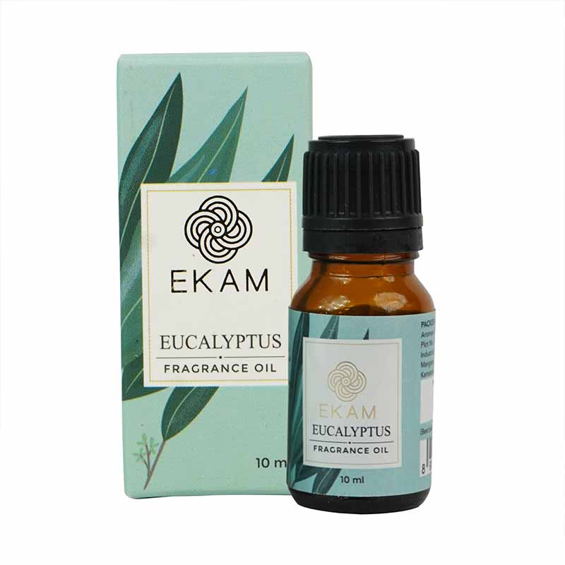 Eucalyptus Fragrance Oil, 10 ml - Image 2