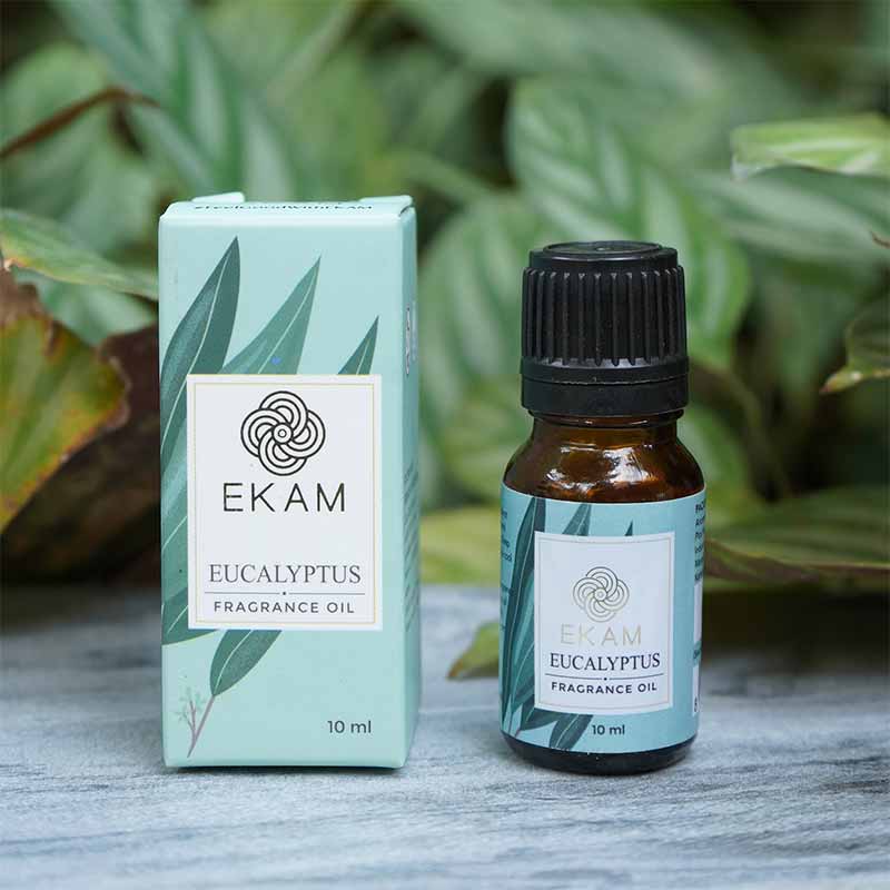 Eucalyptus Fragrance Oil, 10 ml - Image 3
