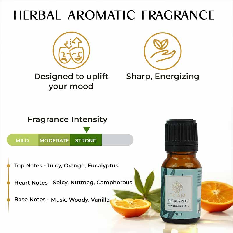 Eucalyptus Fragrance Oil, 10 ml - Image 4