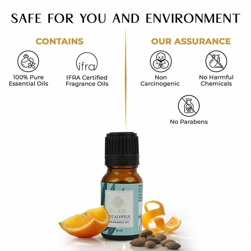 Eucalyptus Fragrance Oil, 10 ml - Image 6