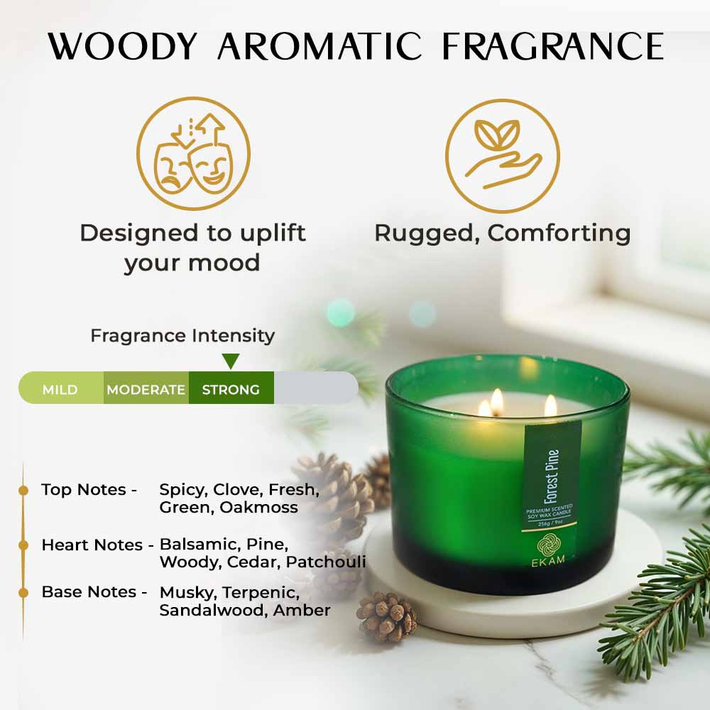 Forest Pine 3 Wick Scented Candle - Image 5