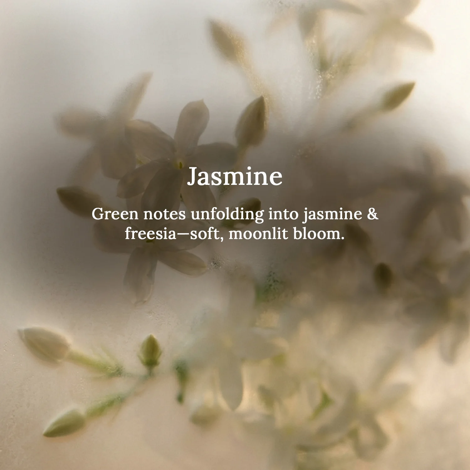 Jasmine Lampshade Scented Candle - Image 3