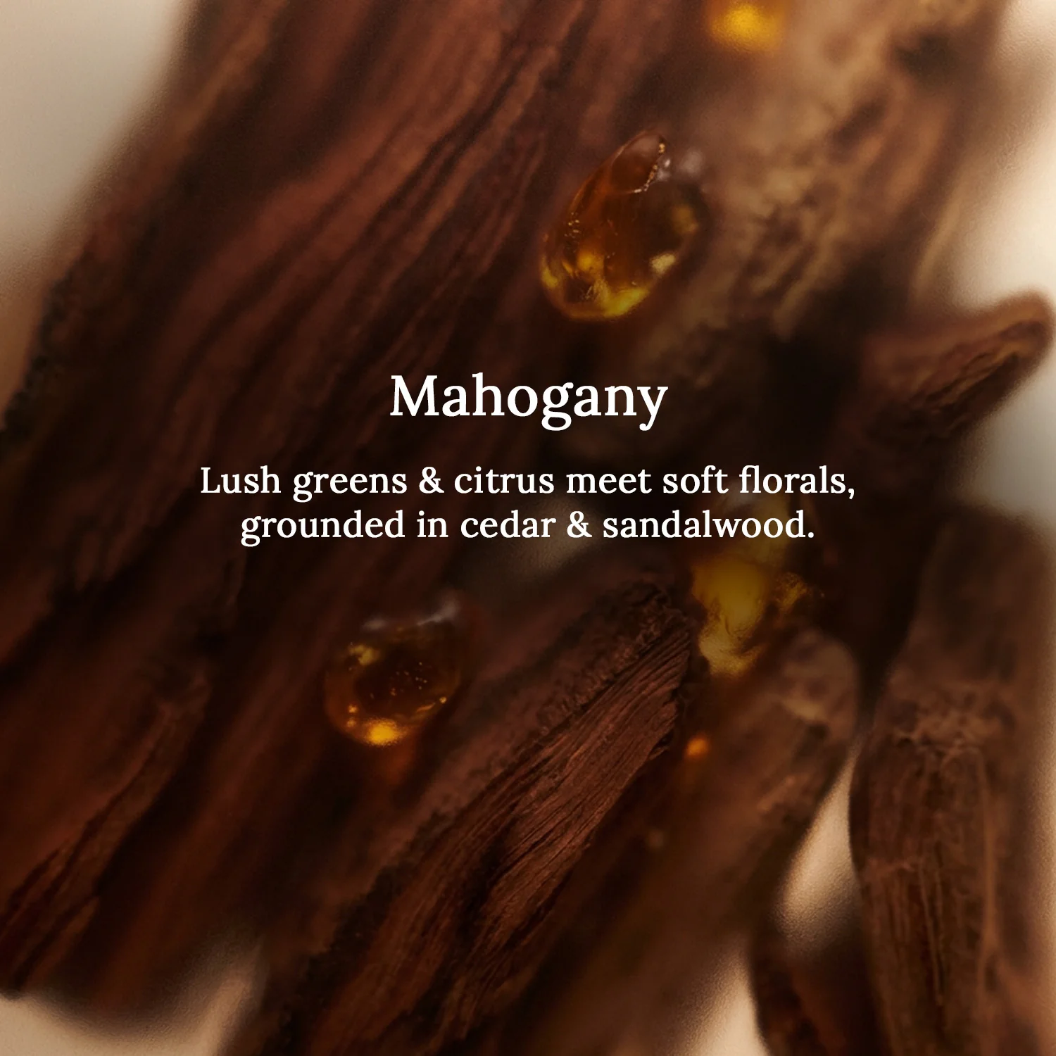 Mahogany Lampshade Scented Candle - Image 3