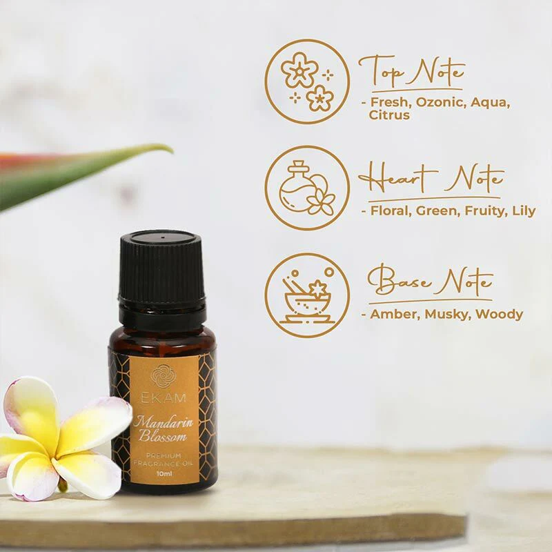 Lime Fragrance Oil, 10 Ml - Image 5