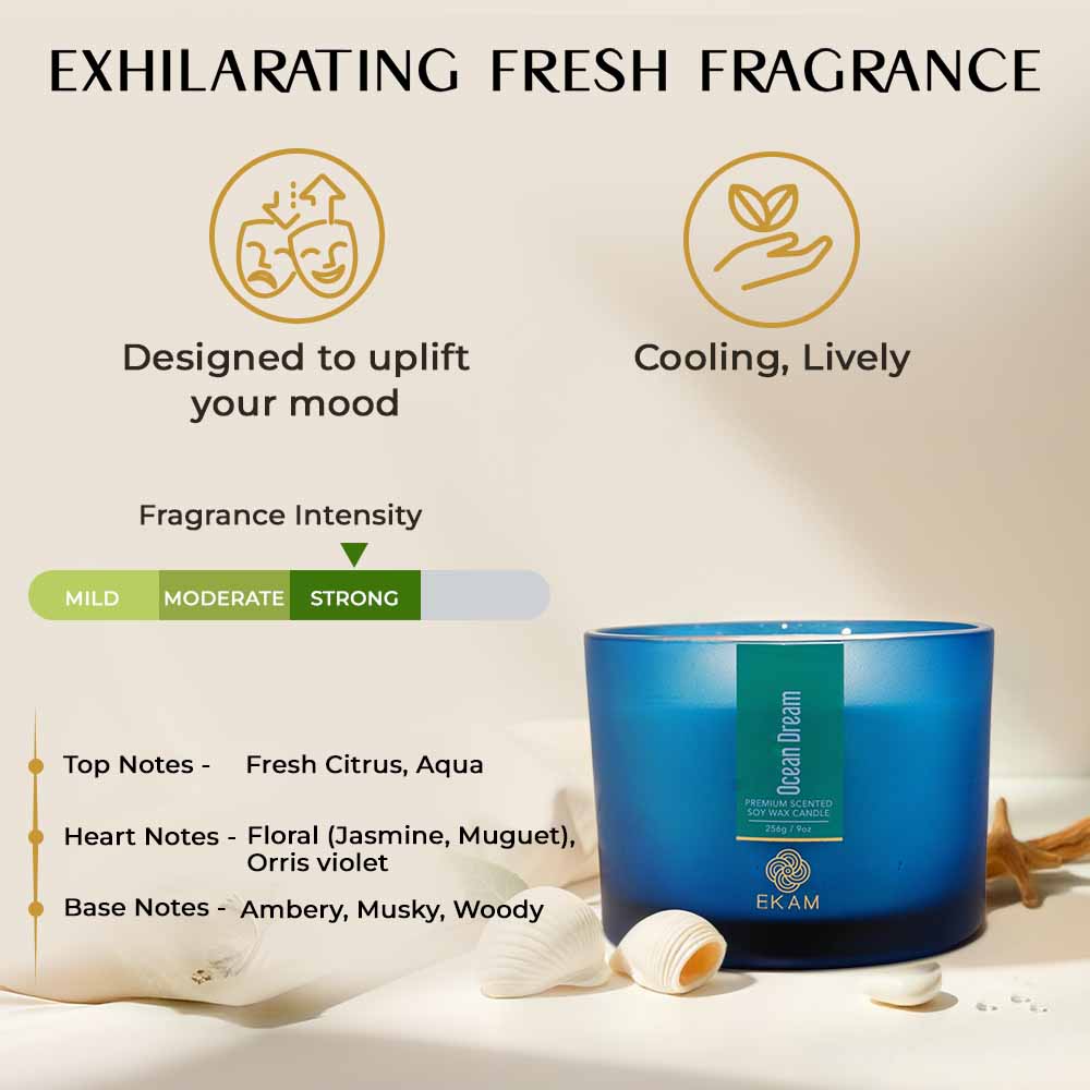 Ocean Dream 3 Wick Scented Candle - Image 5