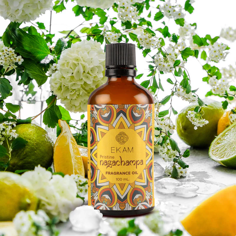 Pristine Nagachampa Fragrance Oil, 100ml - Image 4