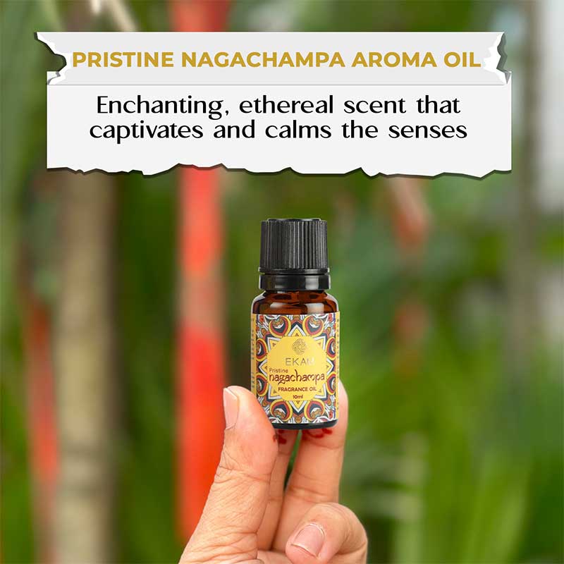 Pristine Nagachampa Fragrance Oil, 10ml - Image 3