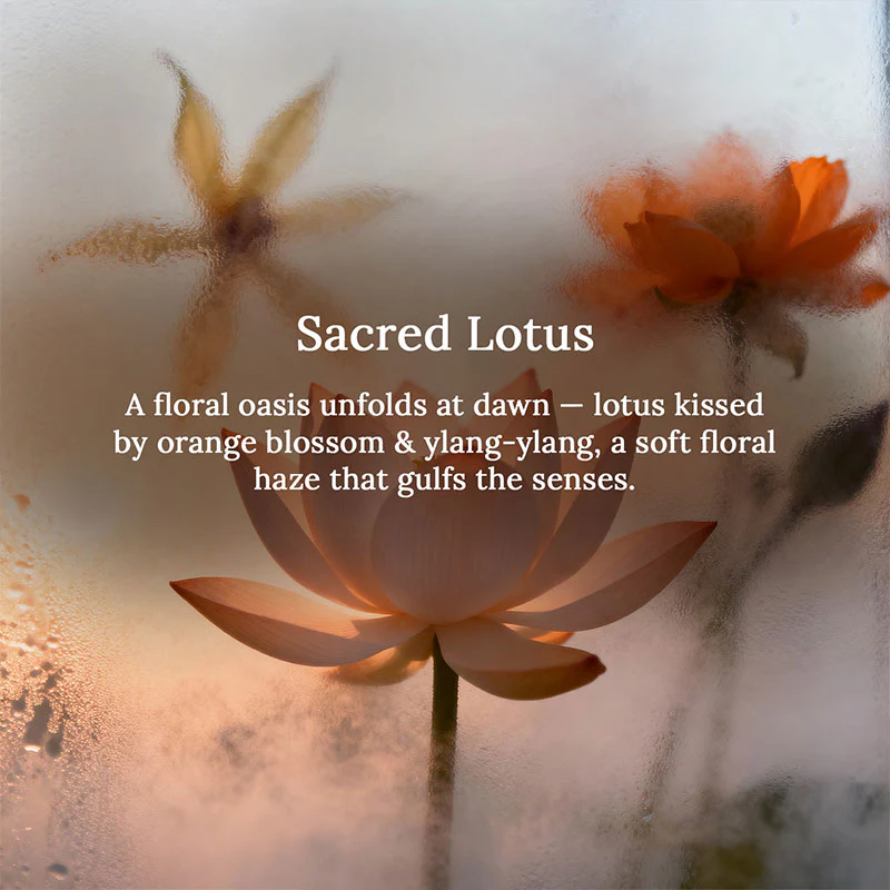 Sacred Lotus 3 Wick Luxe Candle - Image 3