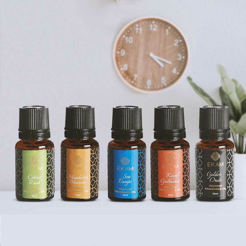Sea Escape Fragrance Oil, 10ml - Image 3