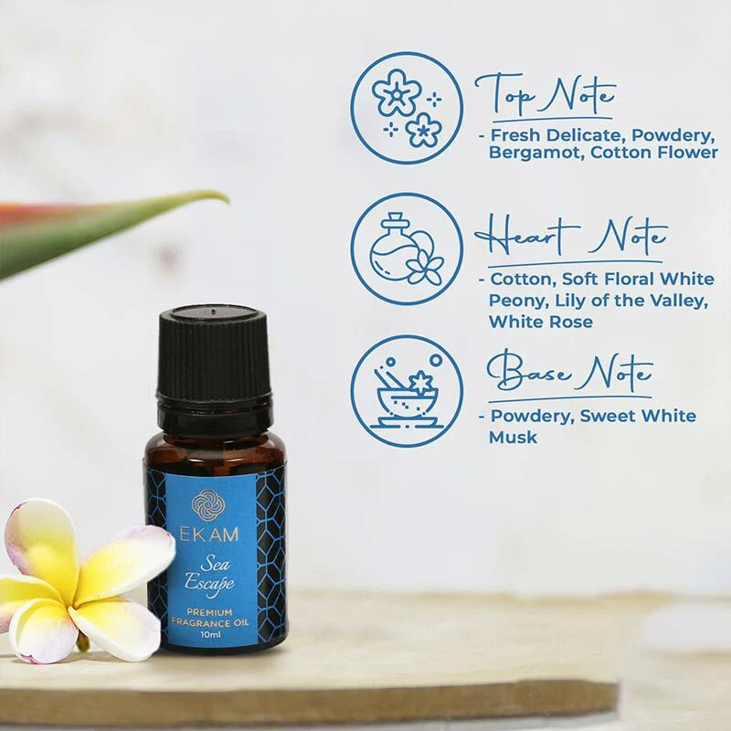 Sea Escape Fragrance Oil, 10ml - Image 5