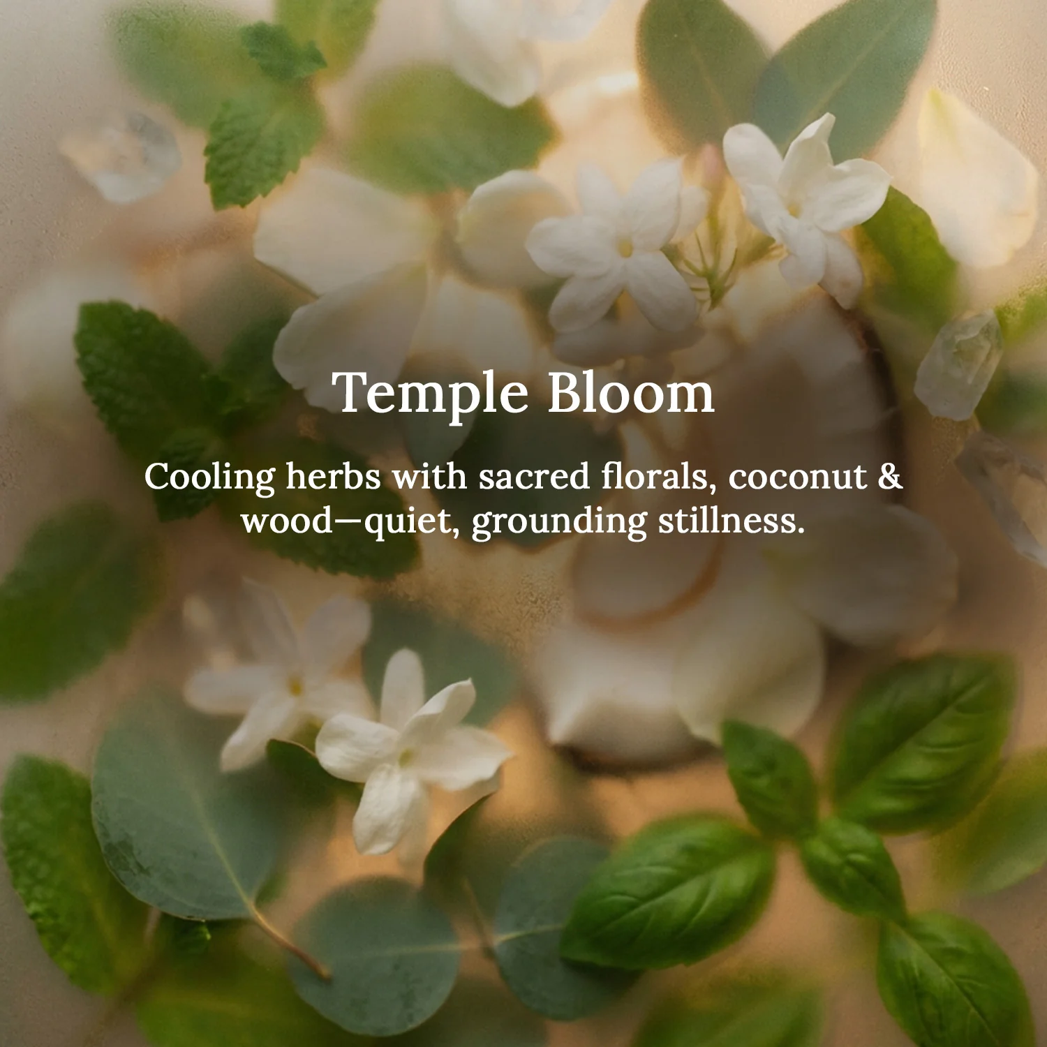 Temple Bloom Lampshade Scented Candle - Image 3