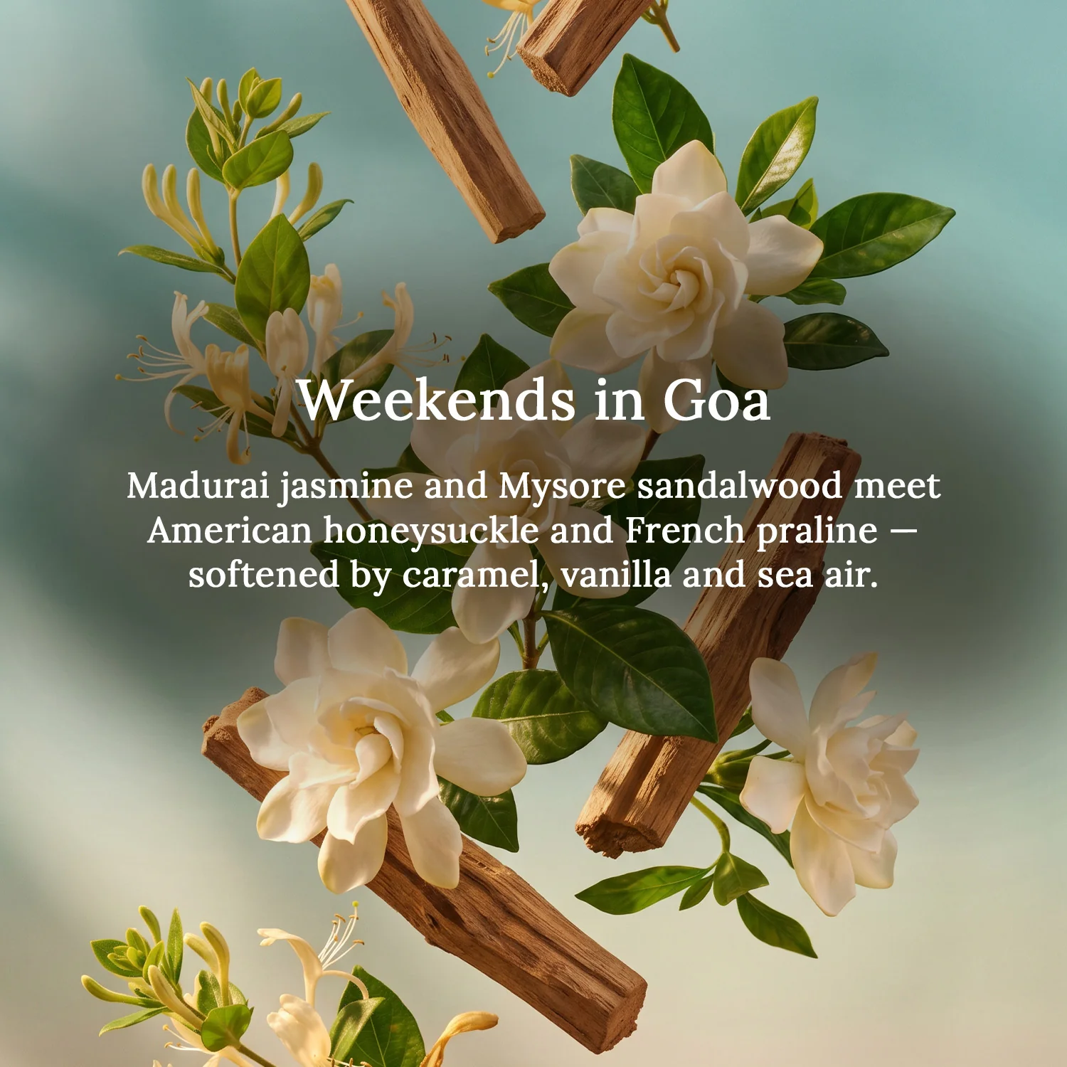 Weekends in Goa Perfume Spray | 60 ml - Image 3